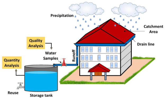 Rain water harvesting